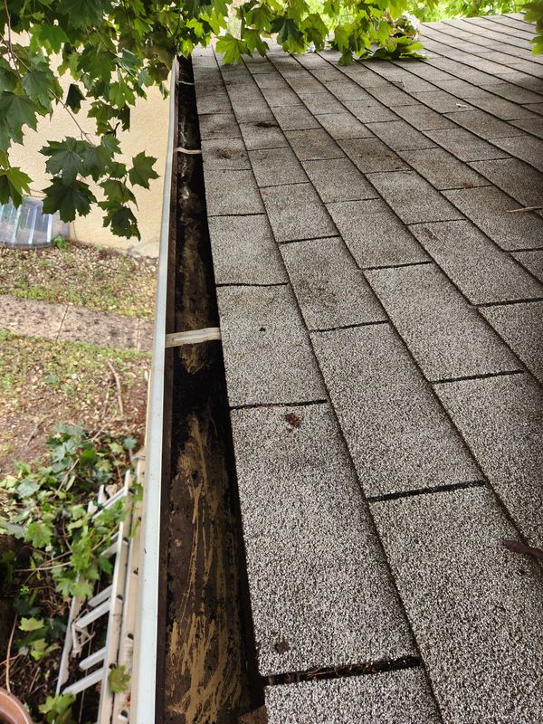 Gutter clean up