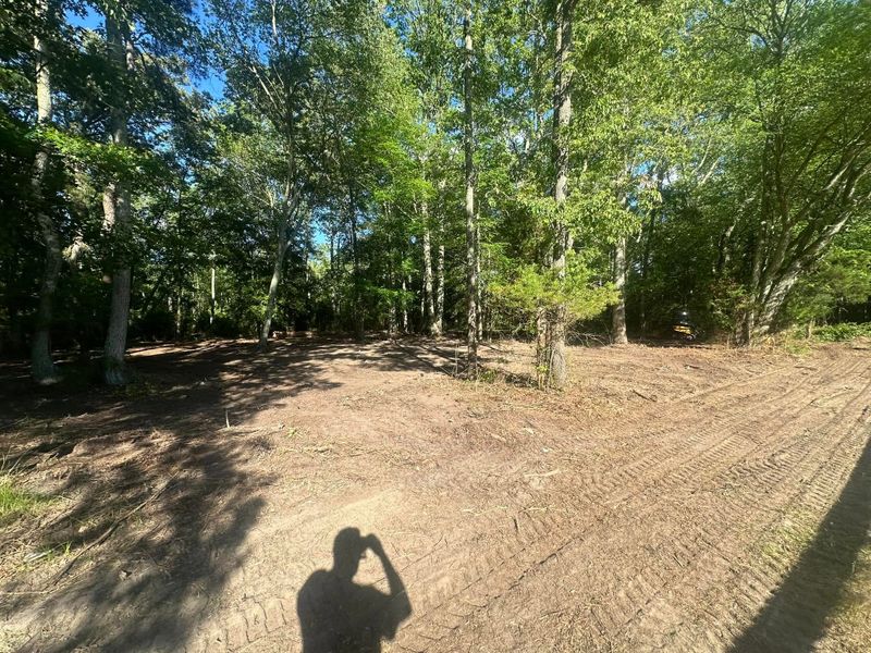 Grading & Site Preparation