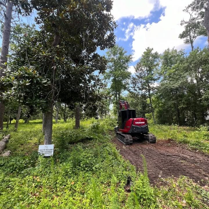 Land Clearing