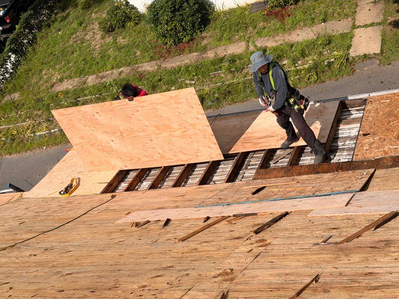 Roofing Repairs