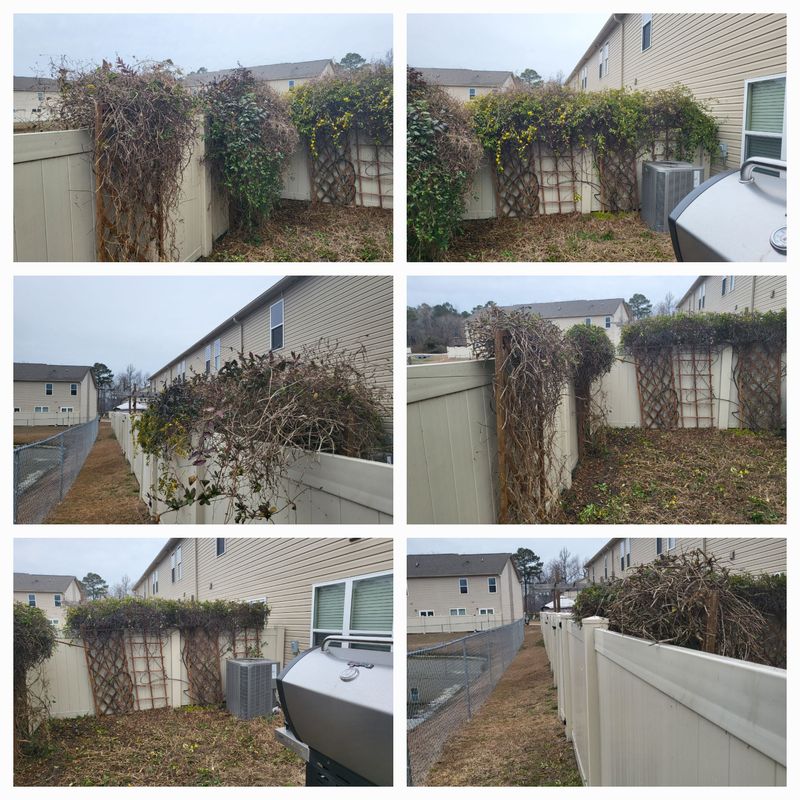 Hedge Work