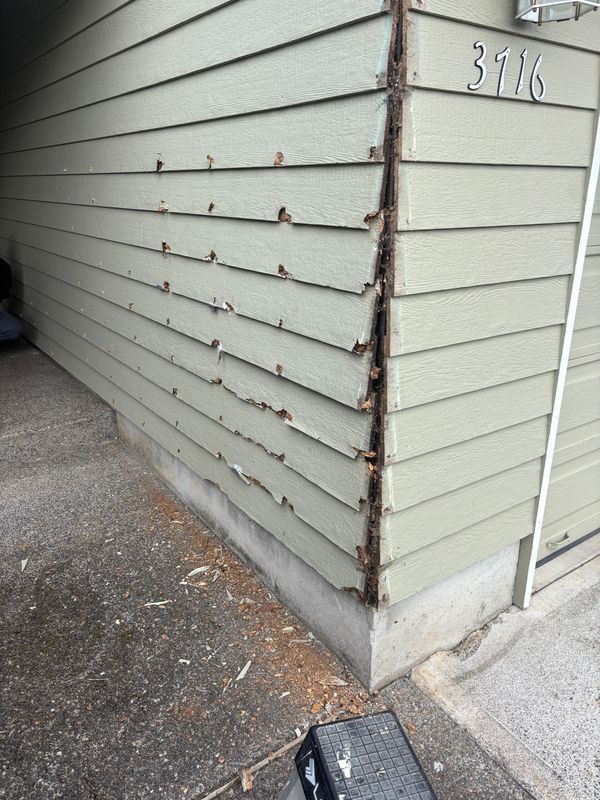 Renovation Services