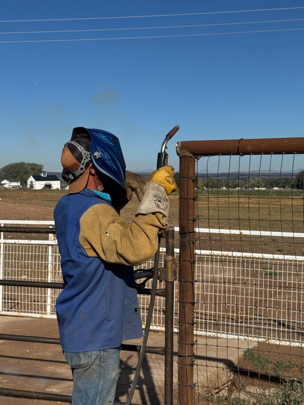 Fence Repair