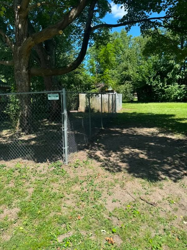Lawn Maintenance