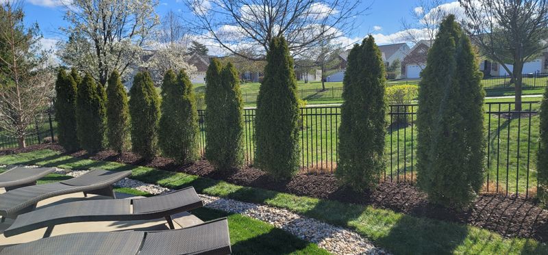 Mulch Installation