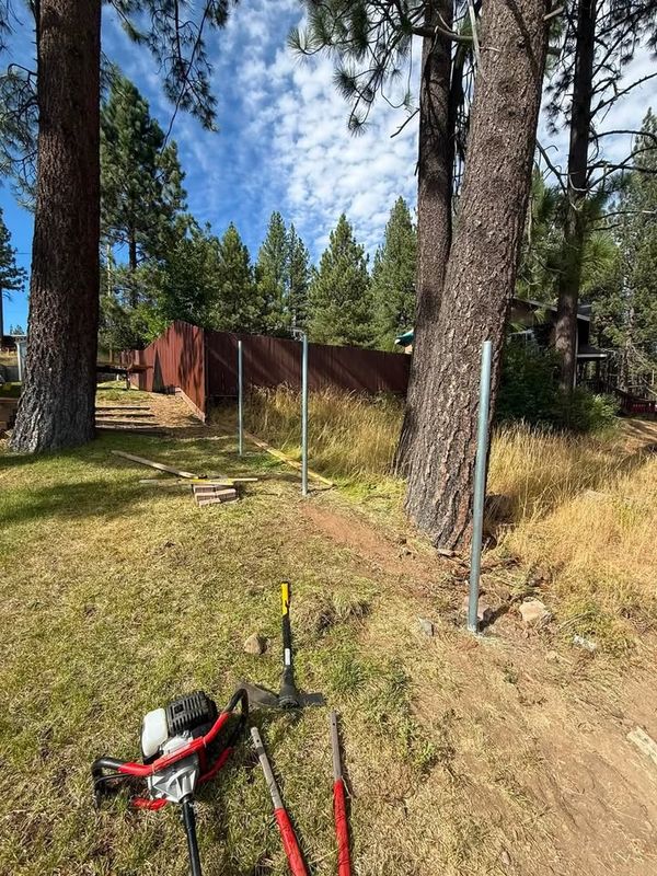 Tree Removal