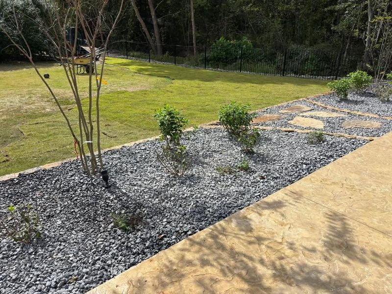 Landscape And Design