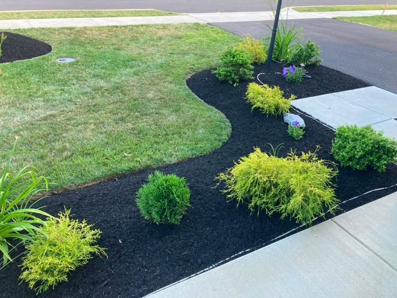 Landscape Design