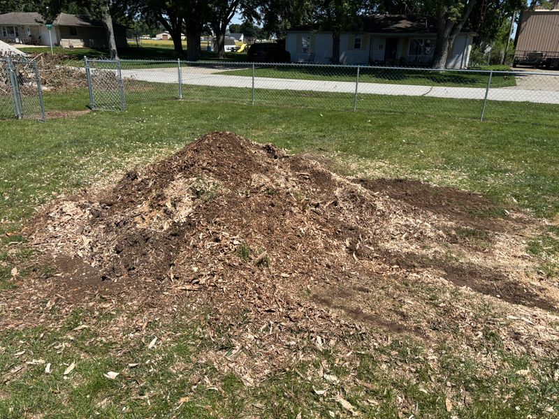 Stump Removal
