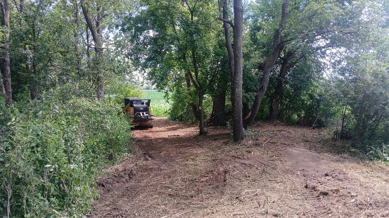Land Clearing