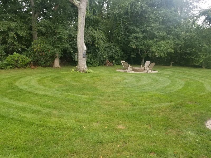 Lawn Maintenance