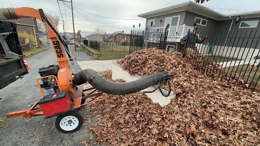 Fall Clean Up