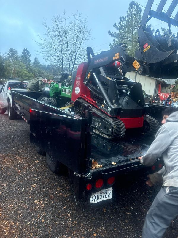 Tree Services
