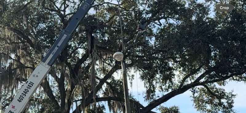 Tree Pruning