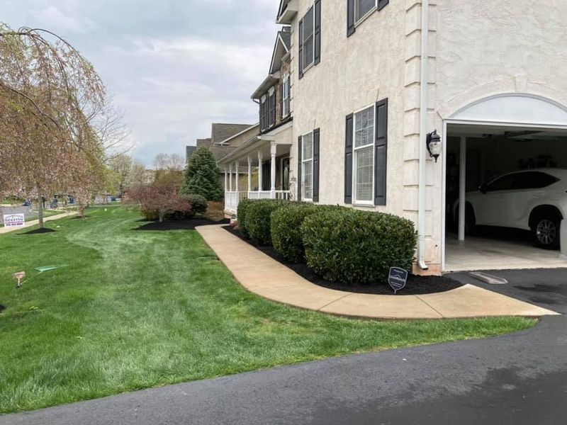 Tree & Shrub Care