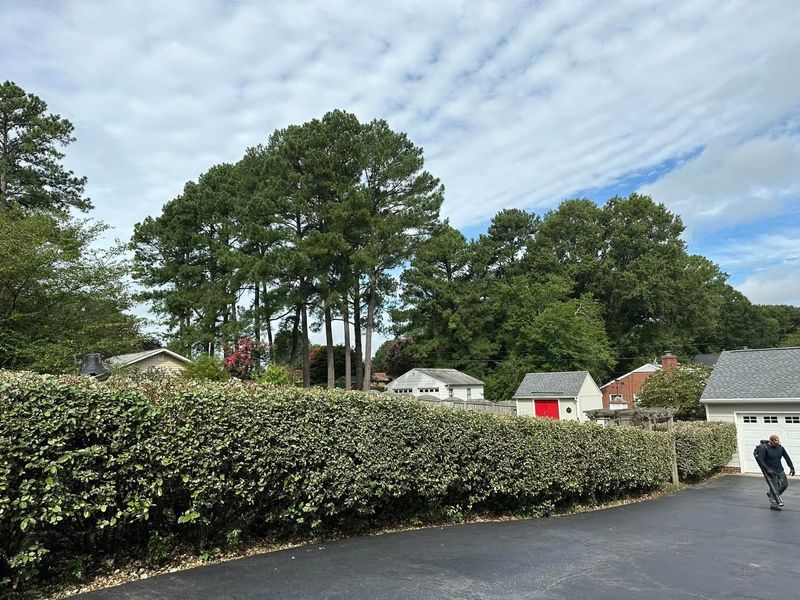Landscaping
