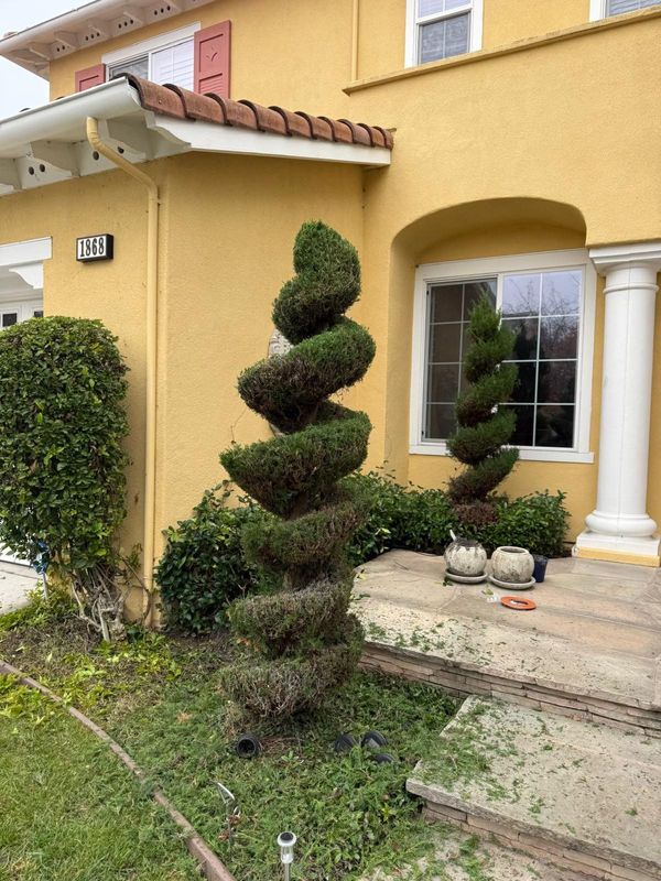 Landscaping