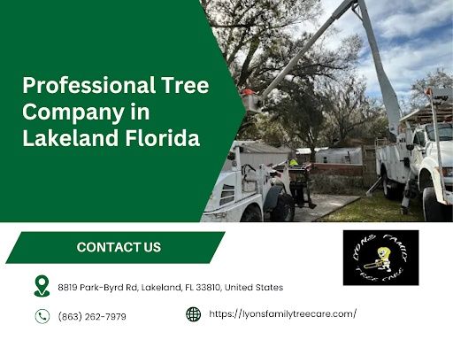 Tree Removal