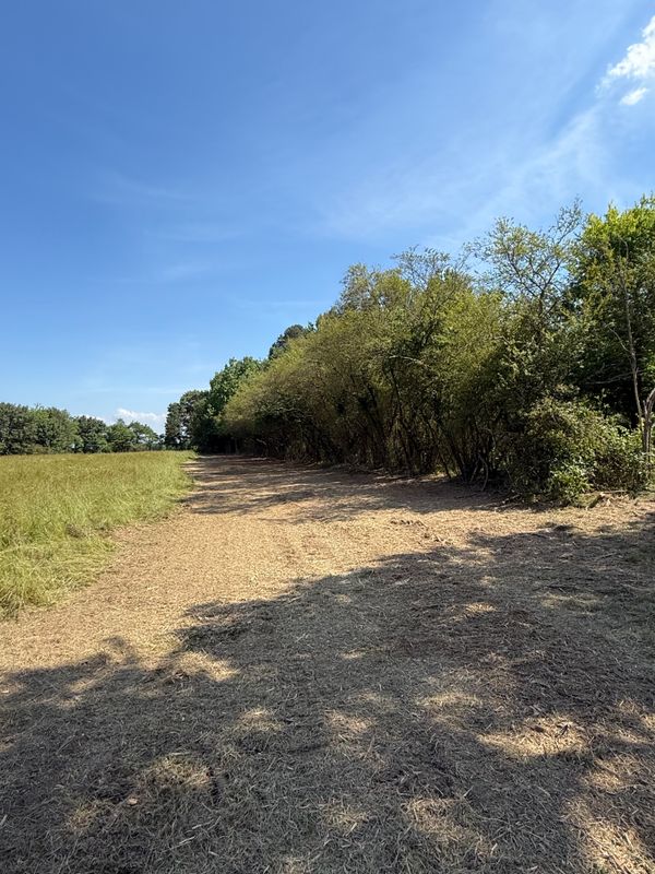Land Clearing