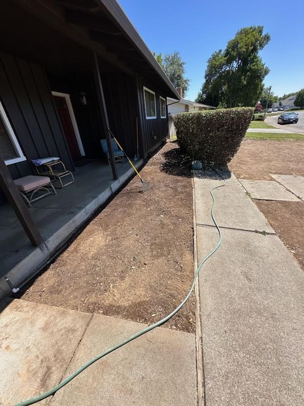 Lawn Maintenance