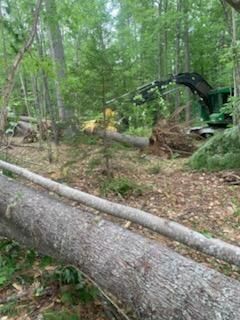 Land Clearing
