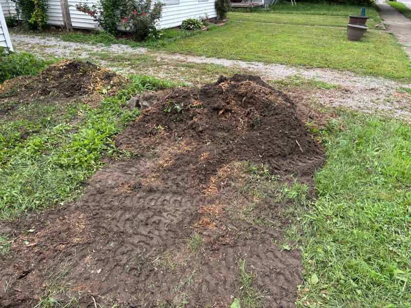 Stump Removal