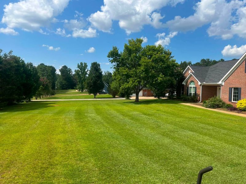 Lawn Care & Maintenance