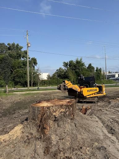 Stump Excavation