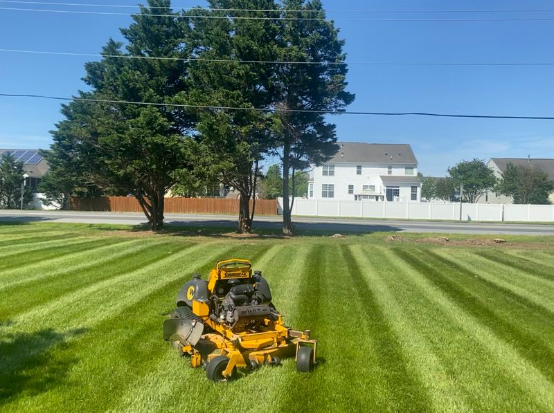 Lawn Mowing 🚜