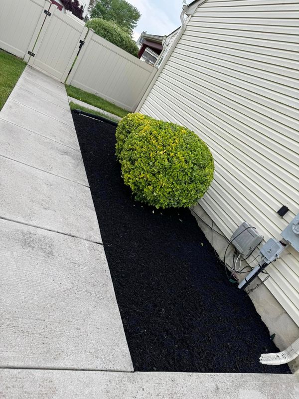 Mulch Installation
