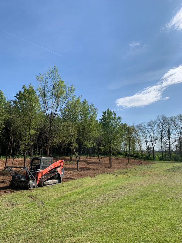 Land Clearing
