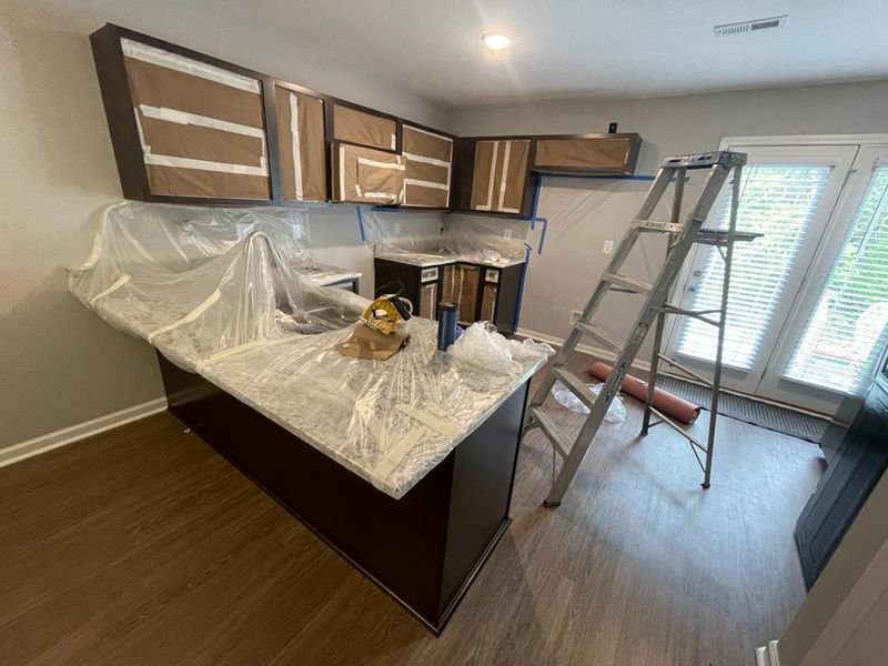 Cabinets Paint