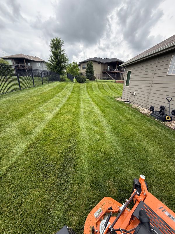 Lawn Maintenance