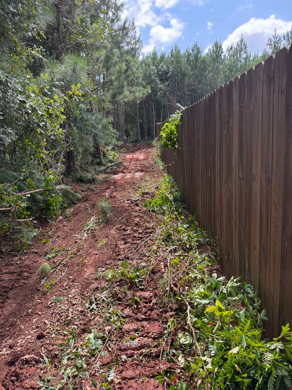 Land Clearing