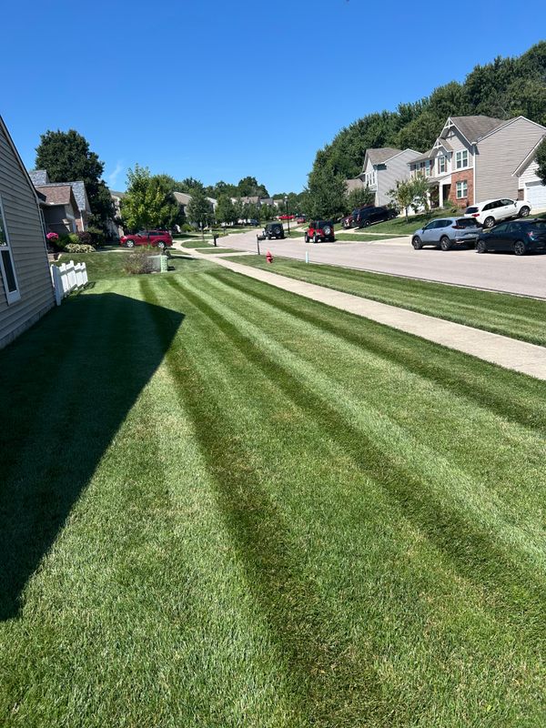 Our Mowing