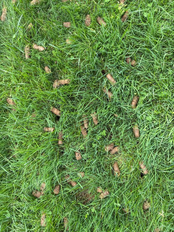 Aeration