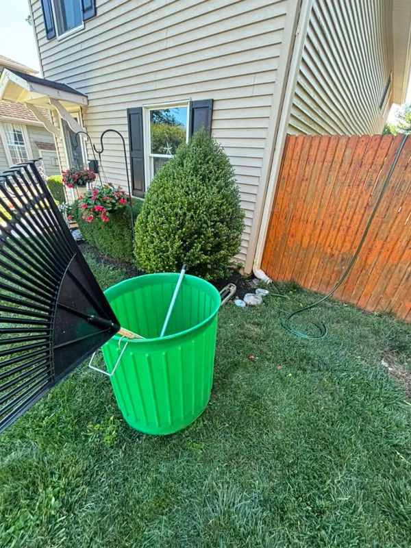 Plant & Shrub Installations