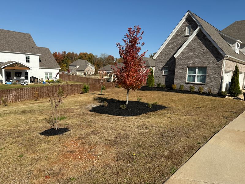 Lawn Maintenance