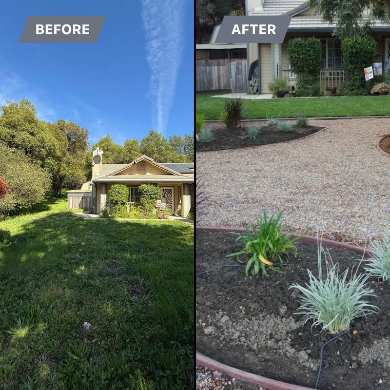 “Before & After”