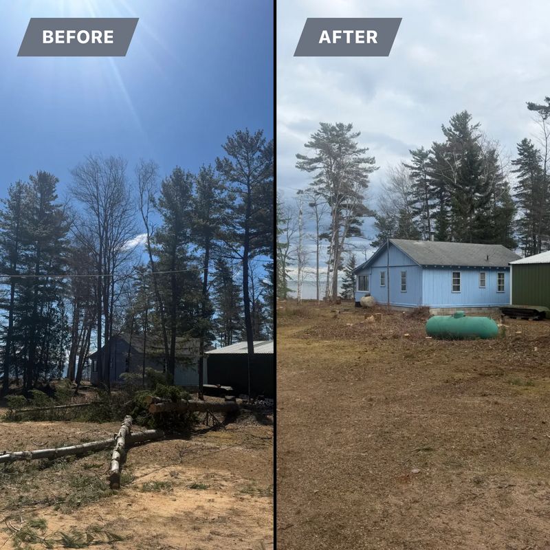 Tree Removal