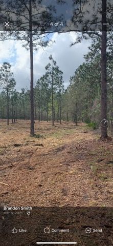Forestry Mulching gallery