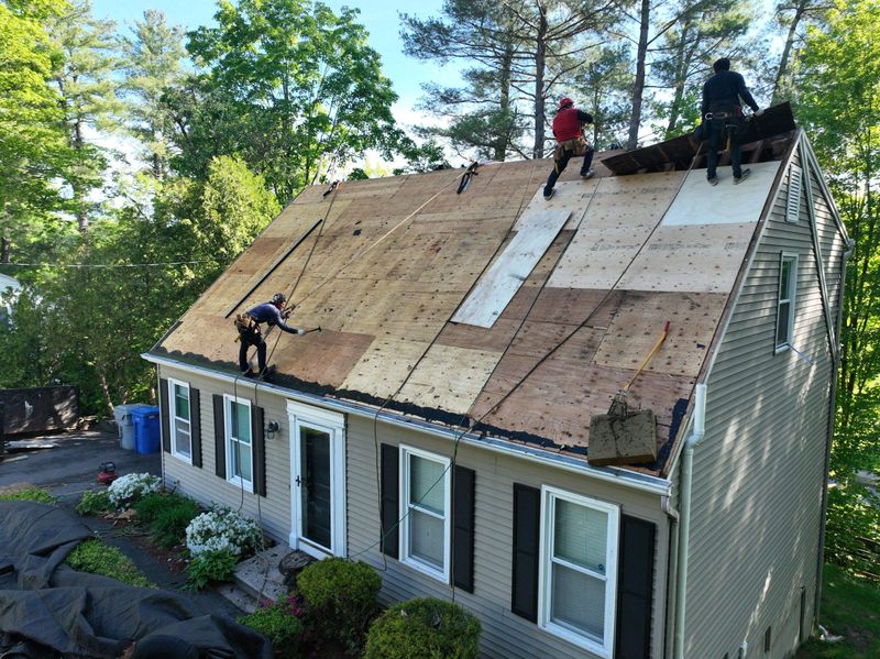 Roof Replacement & Installation