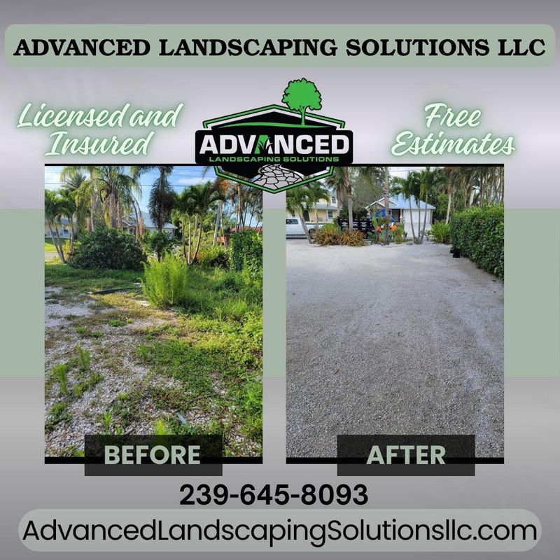Landscape Design and Installation