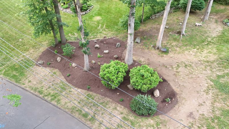 Plantings & Landscape Design