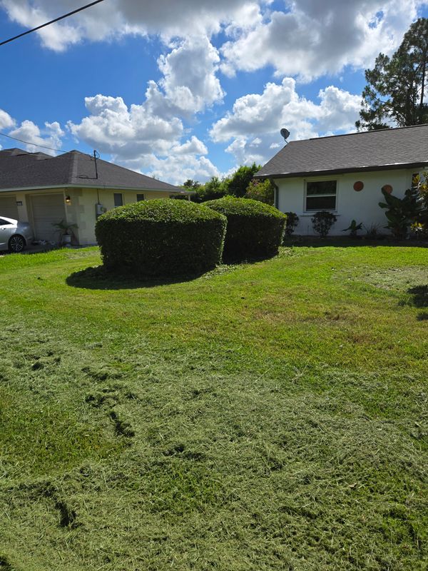 Lawn Care & Maintenance