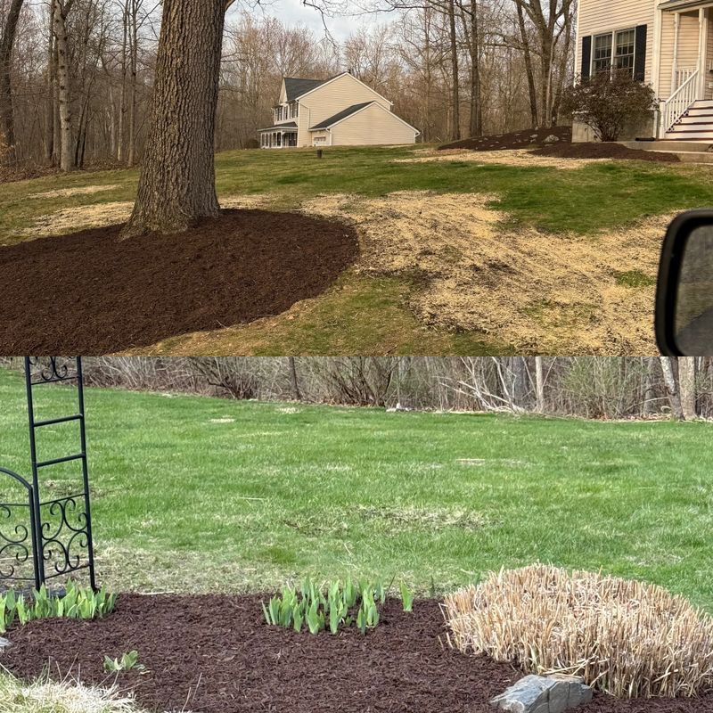 Mulch Installation