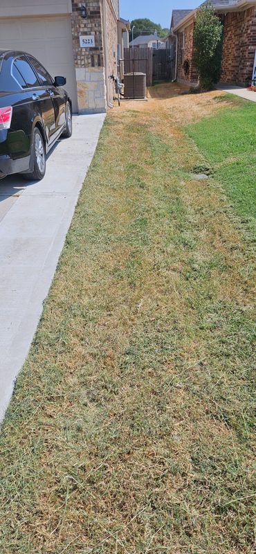 Hardscaping Landscaping