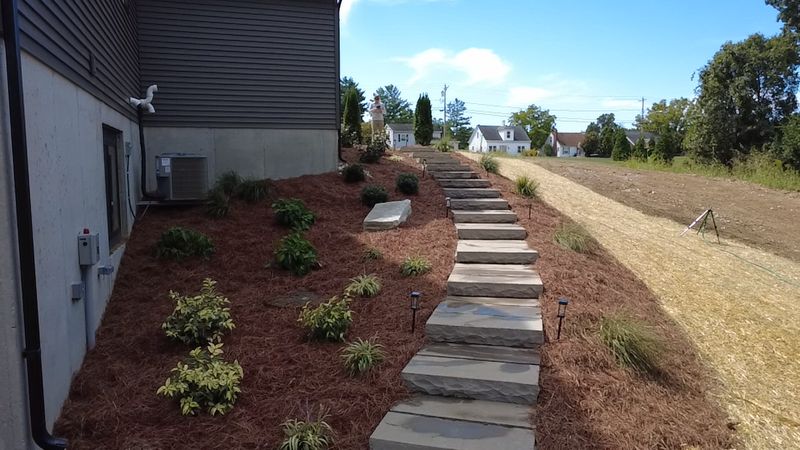 Landscape Installation
