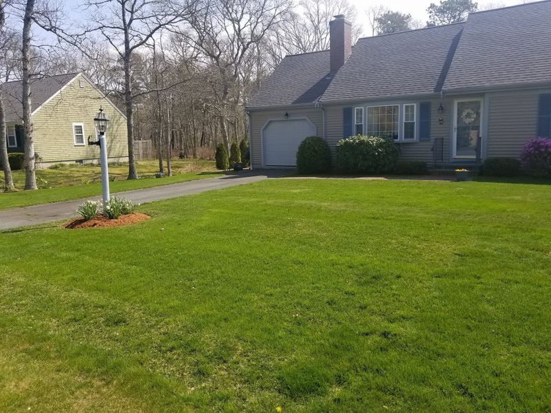 Lawn Maintenance