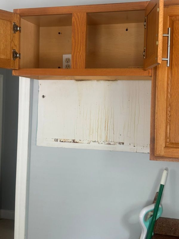 Full Property Cleanouts